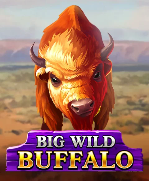 Play Big Wild Buffalo at 50 Crowns Casino